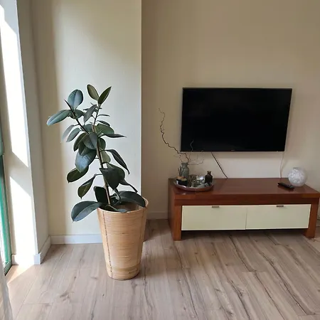 Apartment Zentrumsnahe Im Grünen